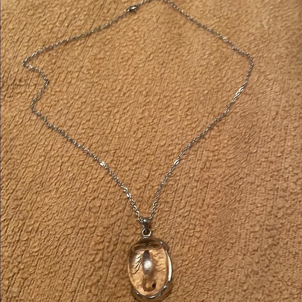 Sterling Silver Real Scorpion Preserved in a Oval Resin Pendant